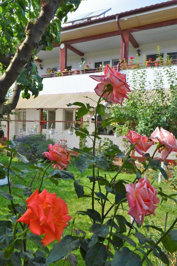 Casa Gia Hotell Costinesti Exteriör bild